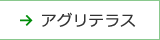 イベント広場